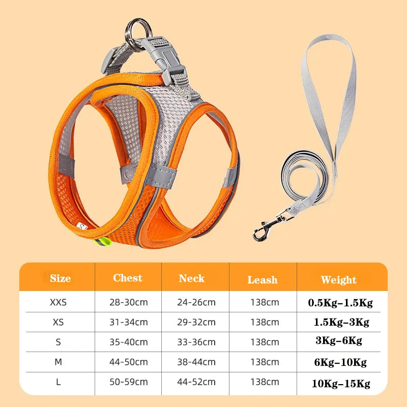 Adjustable Dog Harness & Leash Set