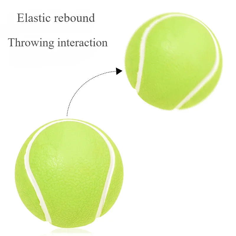 Soft TPR Squeaky Dog Ball Toy
