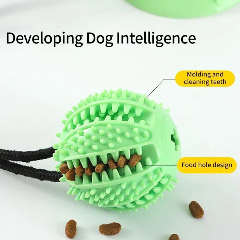 Dog Suction Cup Tug-of-War Chew Toy