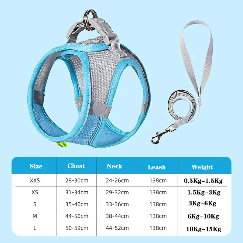 Adjustable Dog Harness & Leash Set
