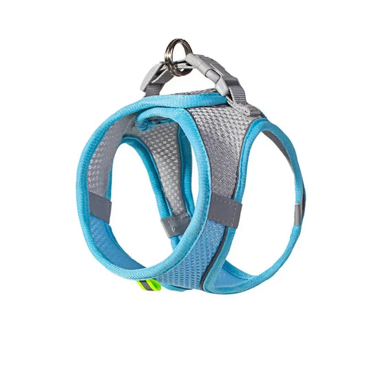 Adjustable Dog Harness & Leash Set