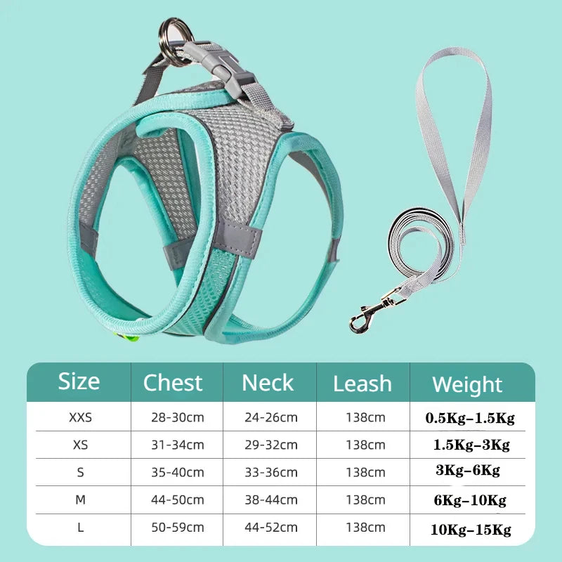 Adjustable Dog Harness & Leash Set