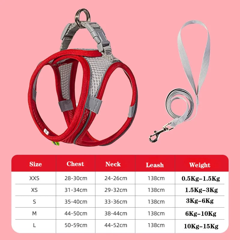 Adjustable Dog Harness & Leash Set