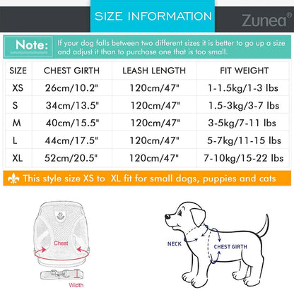 Reflective Cat & Dog Harness with Leash Set