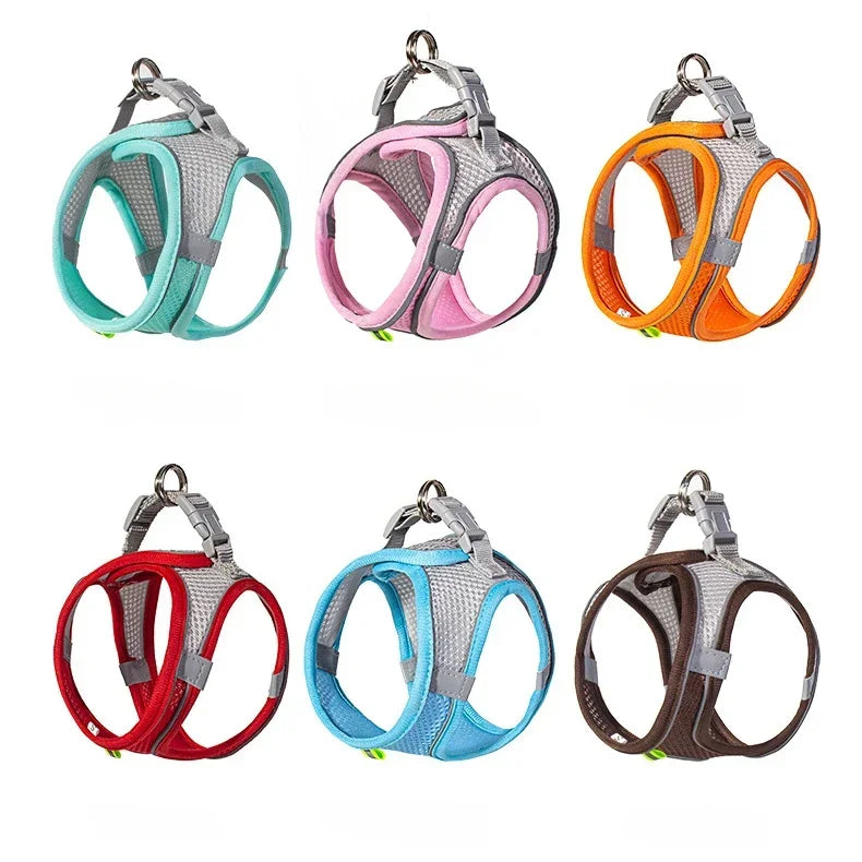 Adjustable Dog Harness & Leash Set