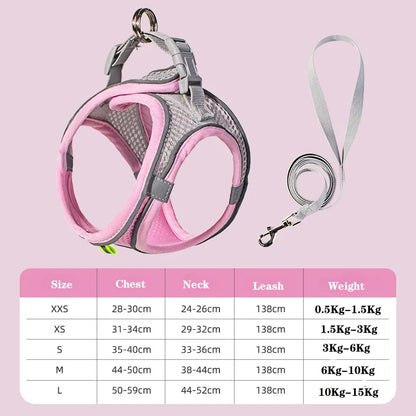 Adjustable Dog Harness & Leash Set