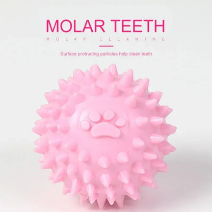 Interactive Rubber Chew Ball for Dogs & Cats