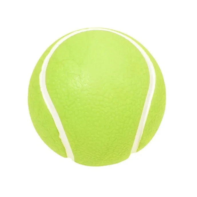 Soft TPR Squeaky Dog Ball Toy