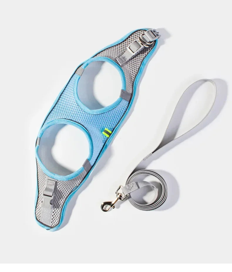 Adjustable Dog Harness & Leash Set