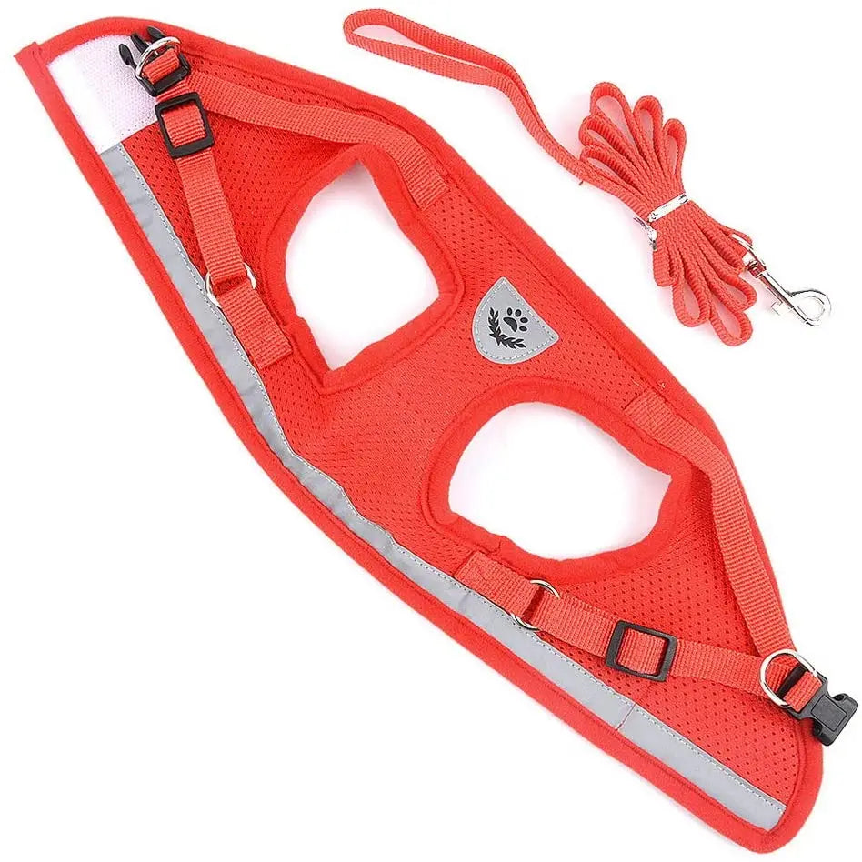 Reflective Cat & Dog Harness with Leash Set