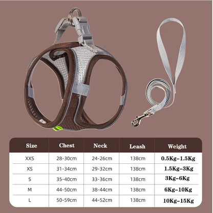 Adjustable Dog Harness & Leash Set