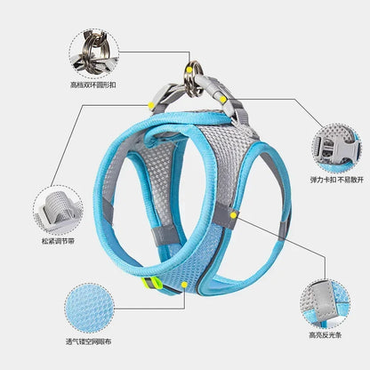 Adjustable Dog Harness & Leash Set