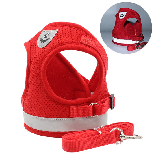 Reflective Cat & Dog Harness with Leash Set