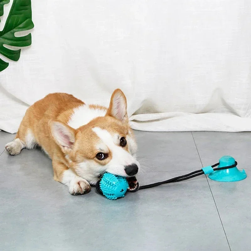 Dog Suction Cup Tug-of-War Chew Toy