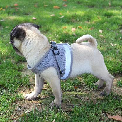 Reflective Cat & Dog Harness with Leash Set
