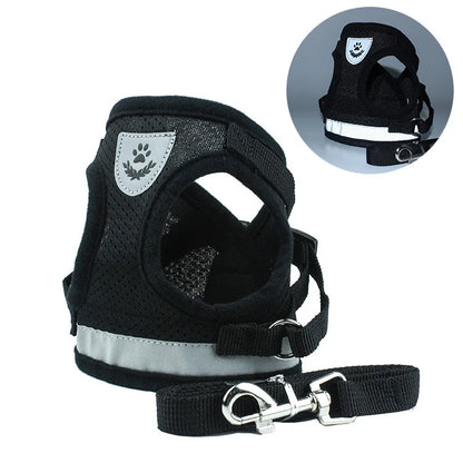 Reflective Cat & Dog Harness with Leash Set