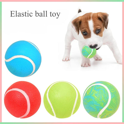 Soft TPR Squeaky Dog Ball Toy