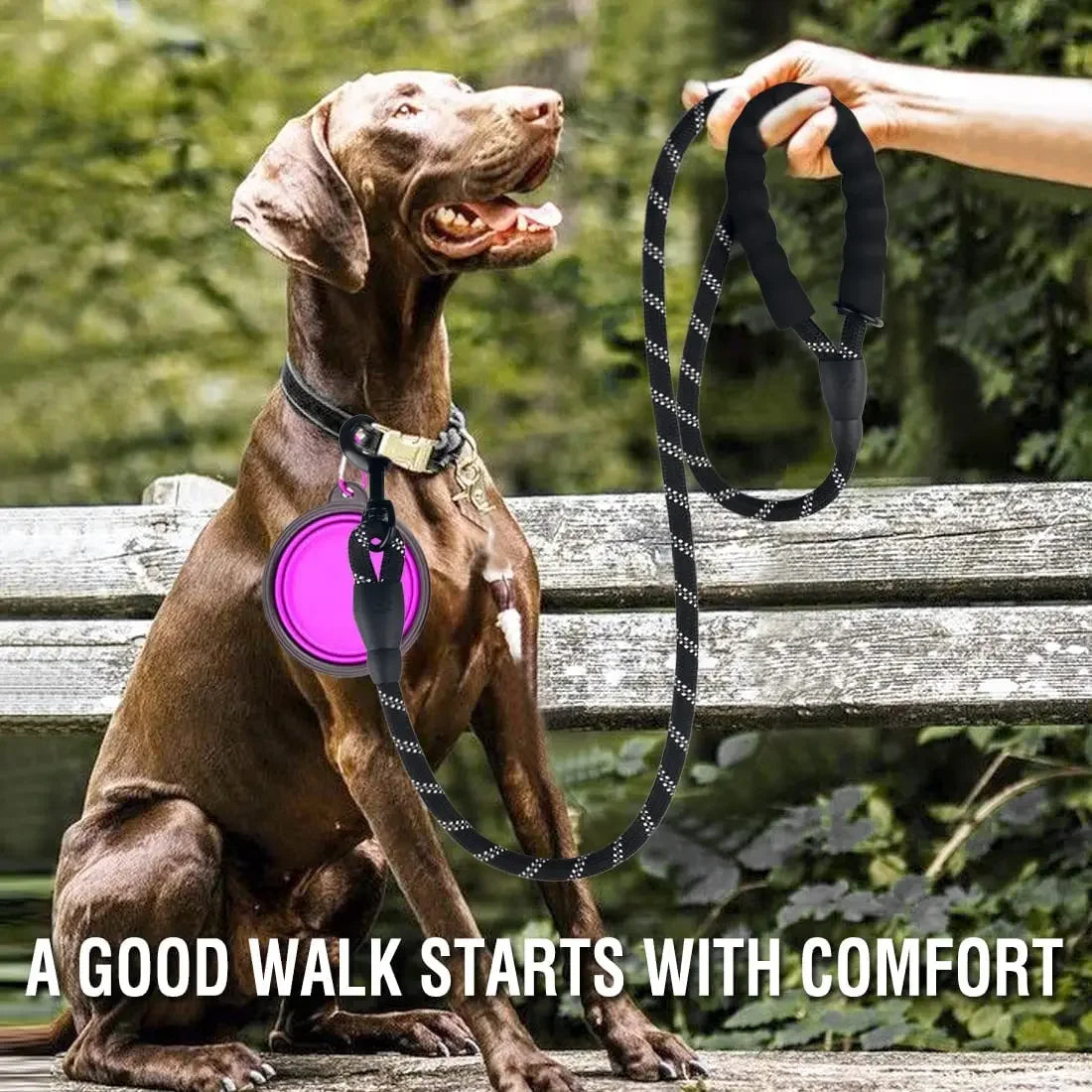 Strong Reflective Dog Leash – For Small, Medium & Large Dogs